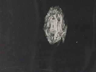 Mitosis animation